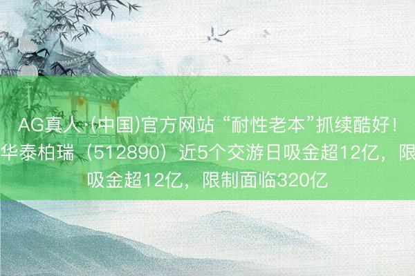 AG真人·(中国)官方网站 “耐性老本”抓续酷好！红利低波ETF华泰柏瑞（512890）近5个交游日吸金超12亿，限制面临320亿