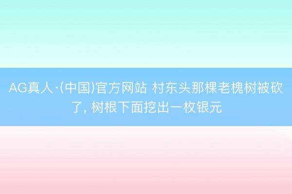 AG真人·(中国)官方网站 村东头那棵老槐树被砍了， 树根下面挖出一枚银元