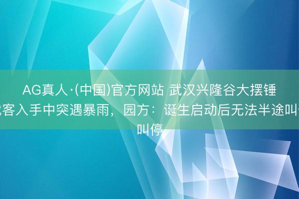 AG真人·(中国)官方网站 武汉兴隆谷大摆锤载客入手中突遇暴雨，园方：诞生启动后无法半途叫停